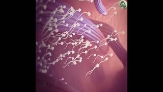 যখন আপন জয Interesting Fact Amazing Fact Bangla King Faact