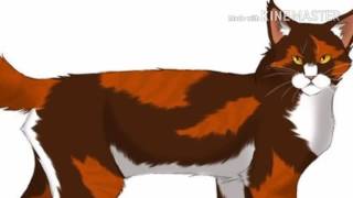 Коты воители Смерти Коты воители Смерти
