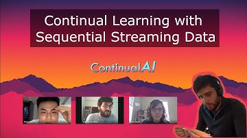 ContinualAI Meetup: "Continual Learning with Sequential Streaming Data"