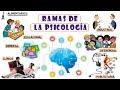 Ramas De La Psicología || Resumen - Vídeos Educativos