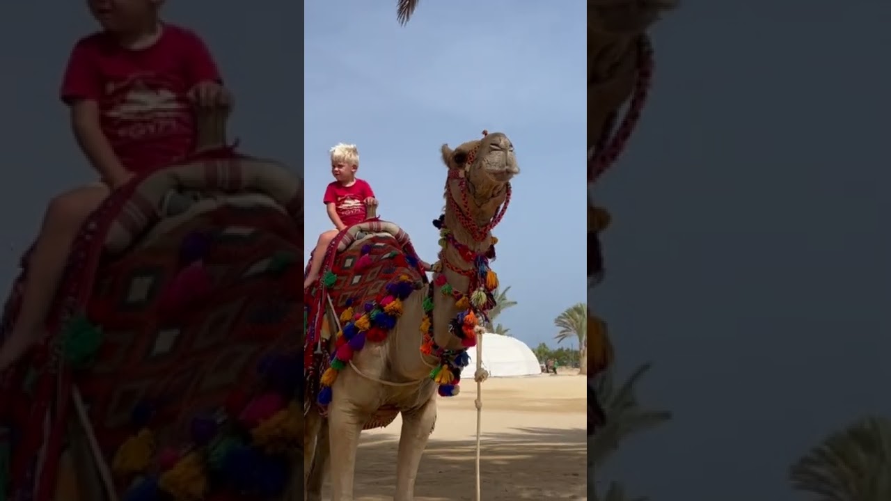 Best view. Hotel Emerald Lagoon Marsa Alam. Egypt.