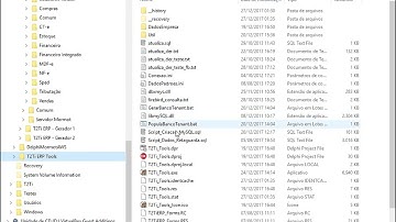 T2Ti ERP Lite - Delphi - Multitenancy - Video Aula 07 - Testes
