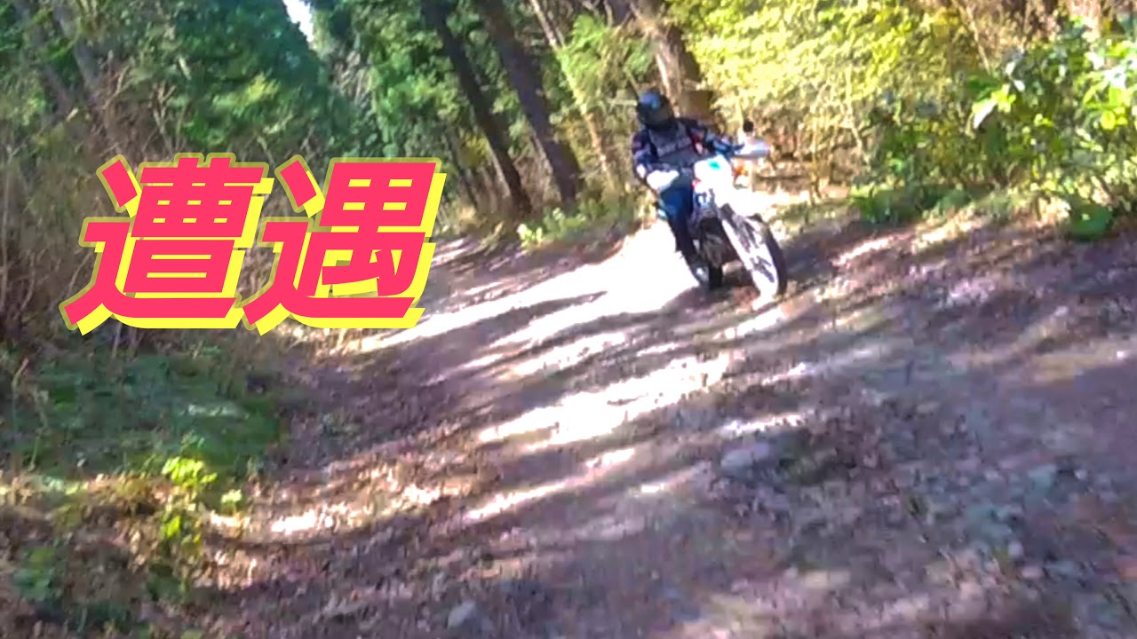 スズキ DR250R 林道&コース仕様（ジェベル250XC （2006 中距離攻撃機 
