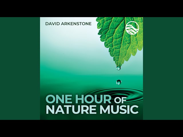 David Arkenstone - The Winding River