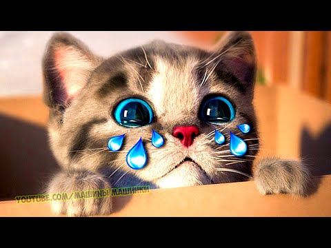 Little Kitten Preschool Adventure Educational Games - Play Fun Cute Kitten Pet Care Gameplay #323