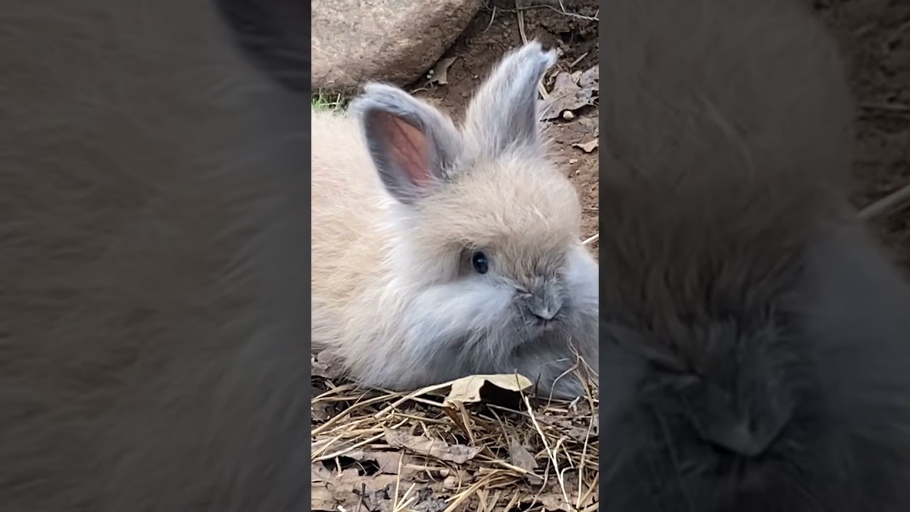 Sweet baby girl 🎀 