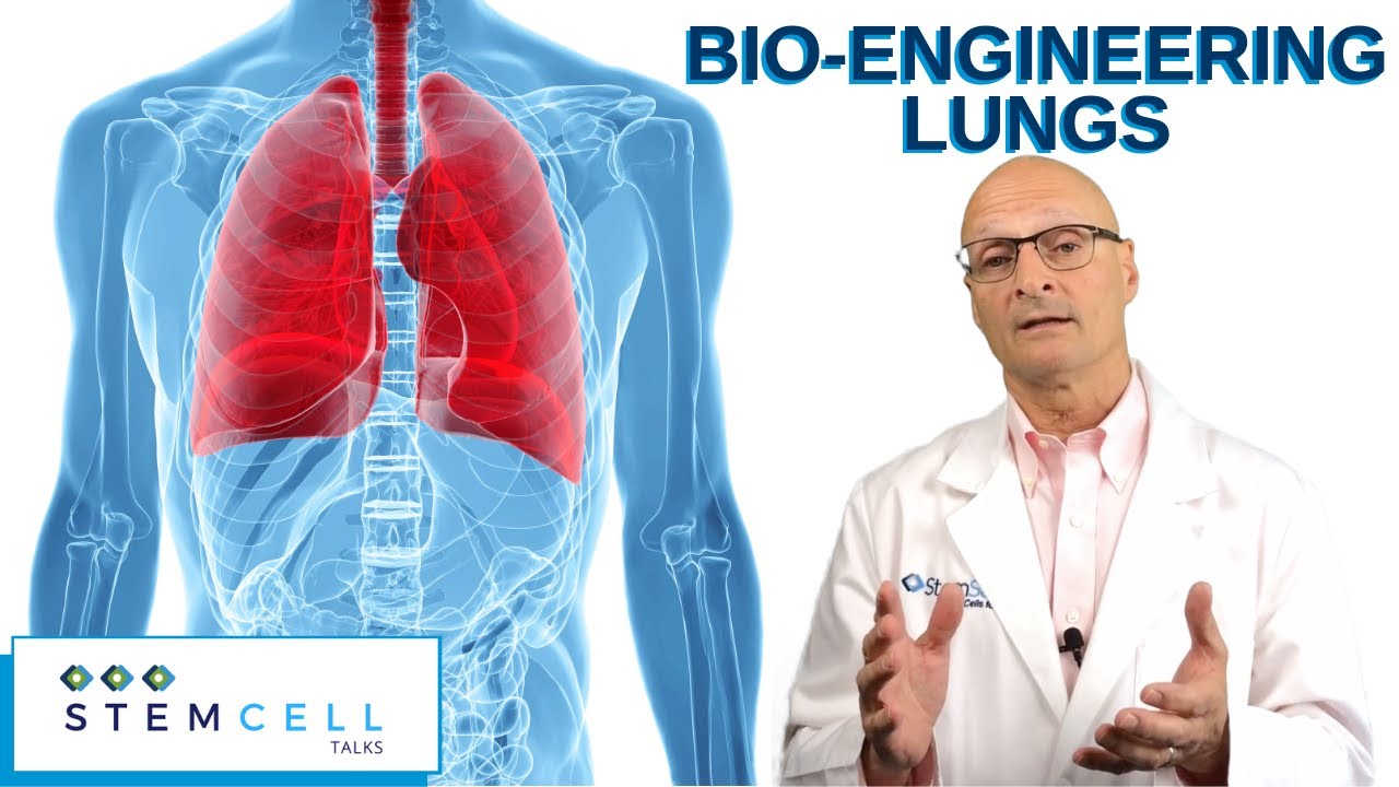 BioEngineered Lungs YouTube