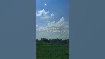 سورة الكهف الآية (٢٣ - ٢٤) بصوت الشيخ ماهر المعيقلي