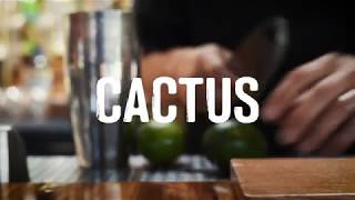Cactus Margarita