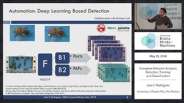 Honeybee Behavior Analysis: Detection, Tracking and Classification