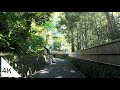 【4K】Walking along the Path of Philosophy - Kyoto