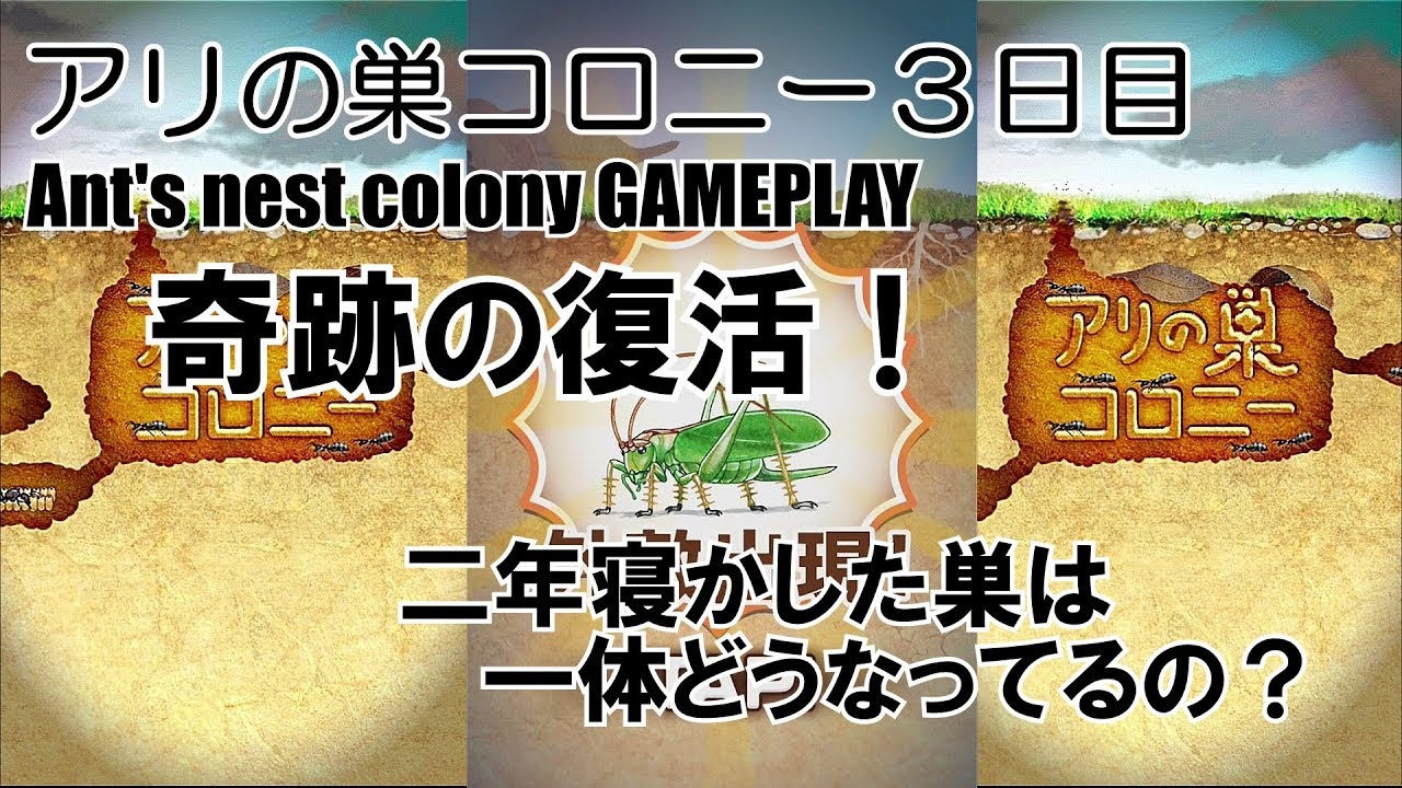 10点ch アリの巣コロニー 実況 Gameplay ３日目 軌跡の復活 ２年寝かした巣は一体どうなってるの Youtube