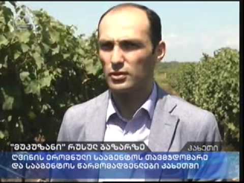 მევენახეებთან  შეხვედრა 23 08 2013