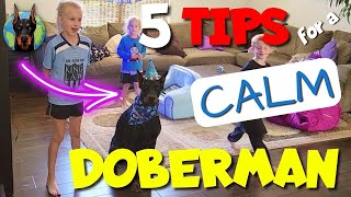 How to Raise a Calm Doberman—5 Tips That WORK