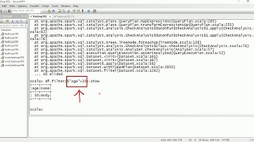 75 SparkSQL之DSL风格