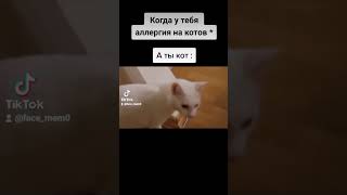 #мем #memes #прикол #мемы