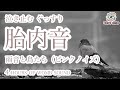 【胎内音】赤ちゃんが寝る!泣き止む!夜泣き対策 寝かしつけ胎内音4時間【鳥と雨音編 ピンクノイズ】Baby stops crying! Sleeping womb sound 4 hours