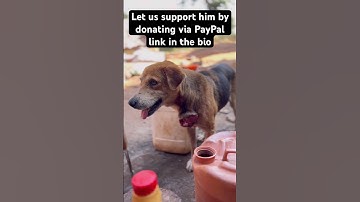 Visit my PayPal link in the bio