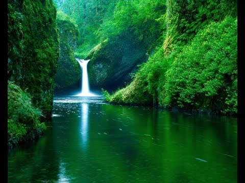 Water Of Life
