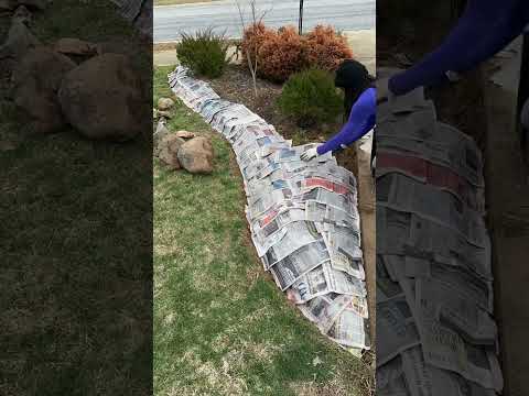 Video: Sheet Mulch Gardening - Information om pladekompostering