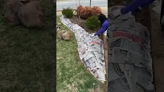 i love sheet-mulching!📦🌱i extended this #gardenbed using the #sheetmulching technique.