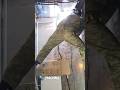 Сварка с переподвыподвертом. #welding #thermex
