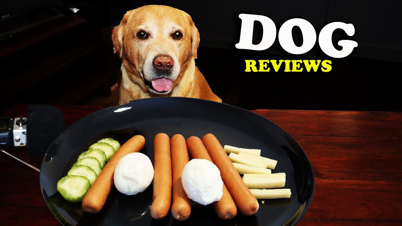 Dog Reviews Sausages , Eggs, Cheese, Cucumber muckbang ASMR Eating