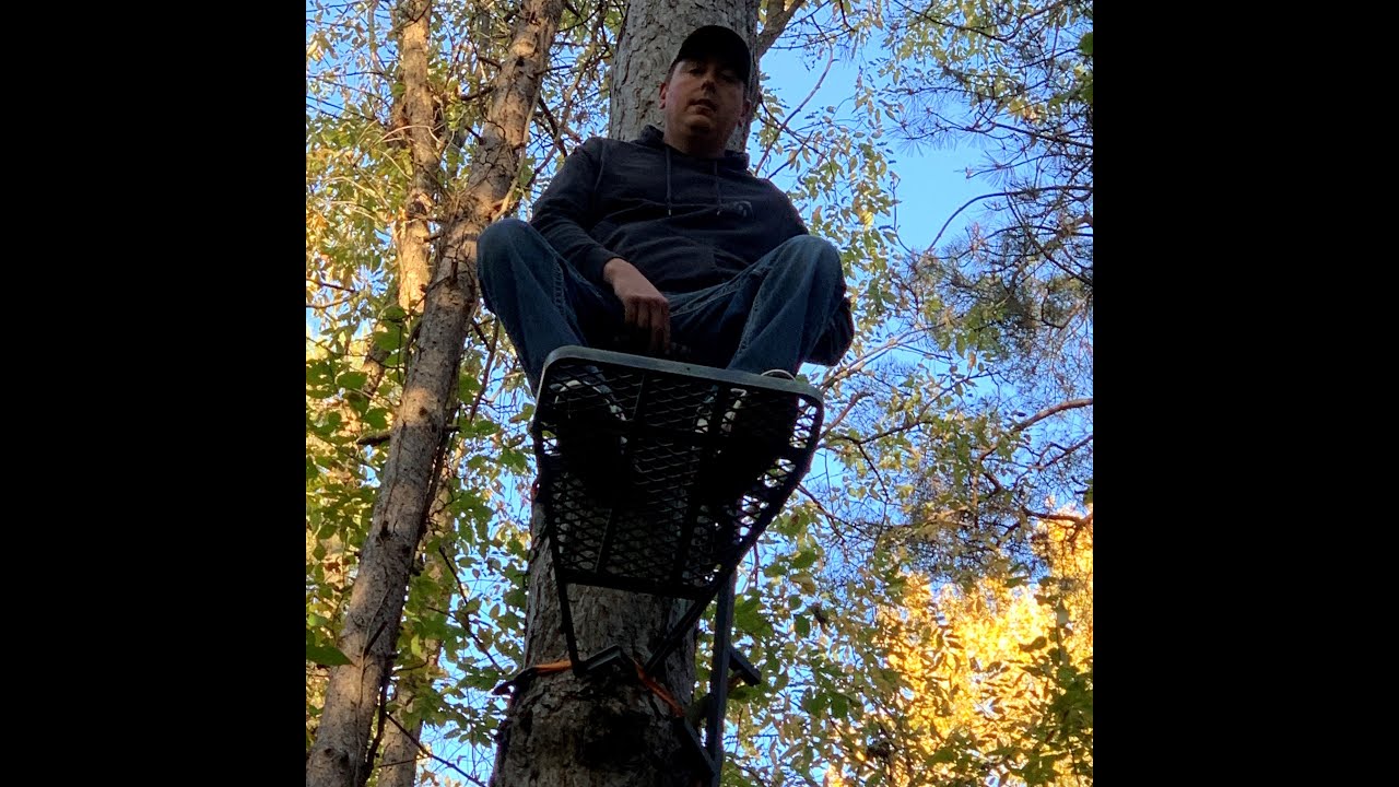 Pure Metamora Hunt Country!