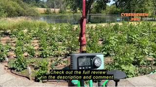 Review RAINPOINT Sprinkler Timer, 4 Outlets Hose Timer with Brass Inlet with Rain Delay/Manual/Autom