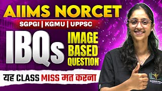 NORCET Image Based MCQs में high accuracy कैसे लाएं? 🔥 | Srishty Ma'am LIVE