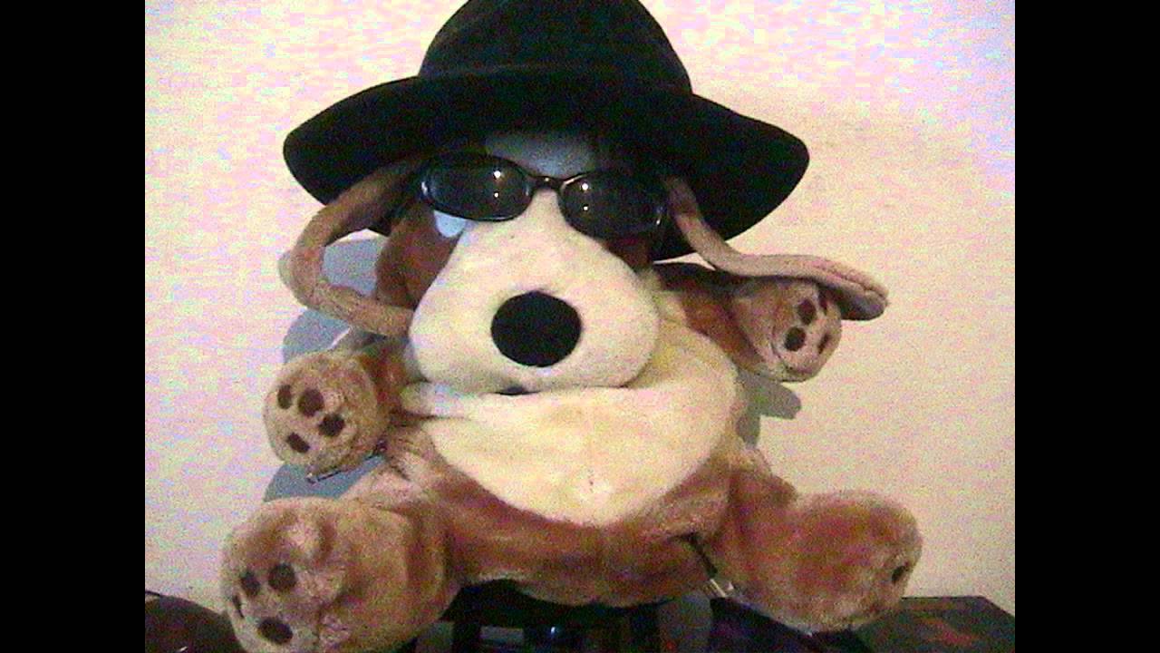 Fenton The Dog Interrogated.wmv YouTube