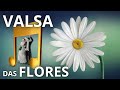 Valsa das Flores (Tchaikovsky) Waltz of the Flowers