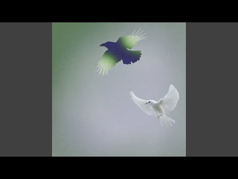Music Video Preview