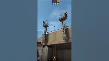 THE DEFAULT MOLLY AND FLASH FOR WATER ON OVERPASS #shorts #cs2