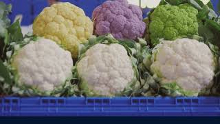The Incredible Health Benefits of Cauliflower | A Nutrient-Packed Superfood