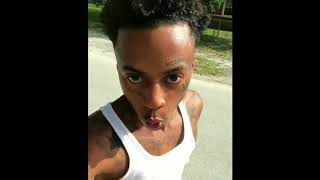 Boonk Savage Moments Compilation