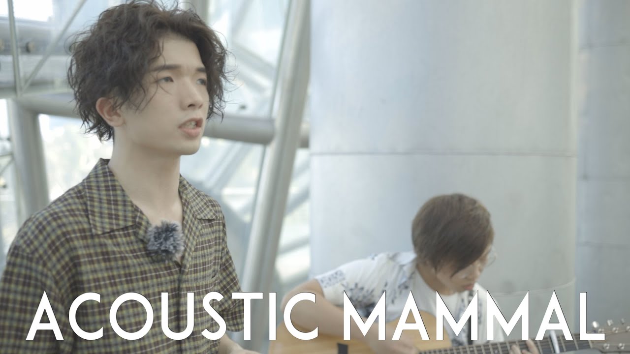 Kenny Chit & Ericsson - 我很快樂