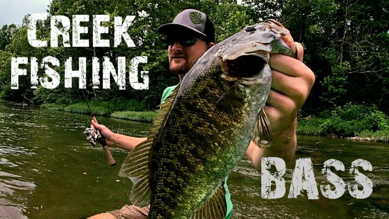 Creek Fishing Smallmouth Bass – Arkansas Stream