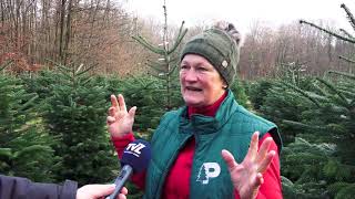 Televizija Zapad - Poslovni Kutak - Pokupec 13.12.2021.