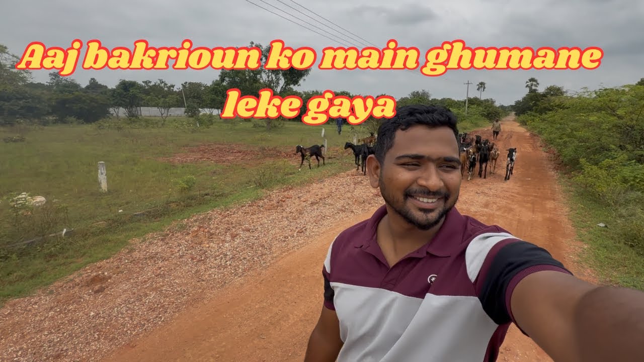 Aaj Mai Bakriyon Ku Ghumane Leke Gaye | Farming with abdullah