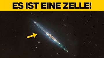 3I/ATLAS ist kein Komet, sondern eine Zelle: Wissenschaftler glauben, das Objekt könnte leben!