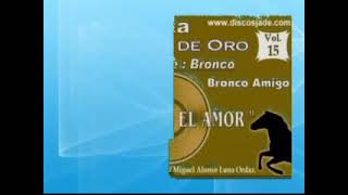 Video thumbnail of "OTRAVEZ EL AMOR KARAOKE BRONCO"