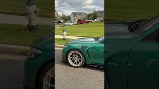 Stock fender or the carbon?
