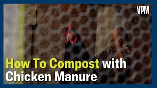 Secrets of Effective Chicken Manure Composting Revealed