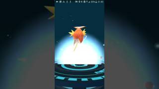 *POKEMON寶可夢﹣IV 100 鯉魚王(Magikarp)進化成暴鯉龍 ...