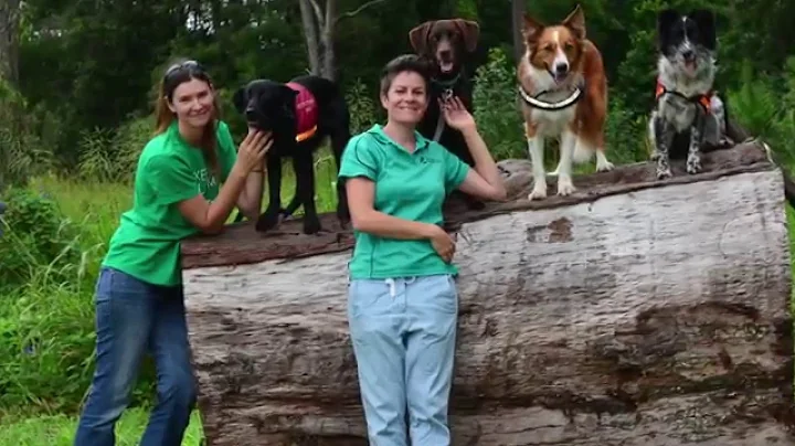 Crowdfunding: Detection Dogs for Conservation
