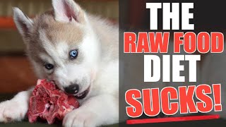Raw Food Diet Is NOT GOOD For Siberian Huskies - CHANGE MY MIND! (WHY I STOPPED THE RAW FOOD DIET!)