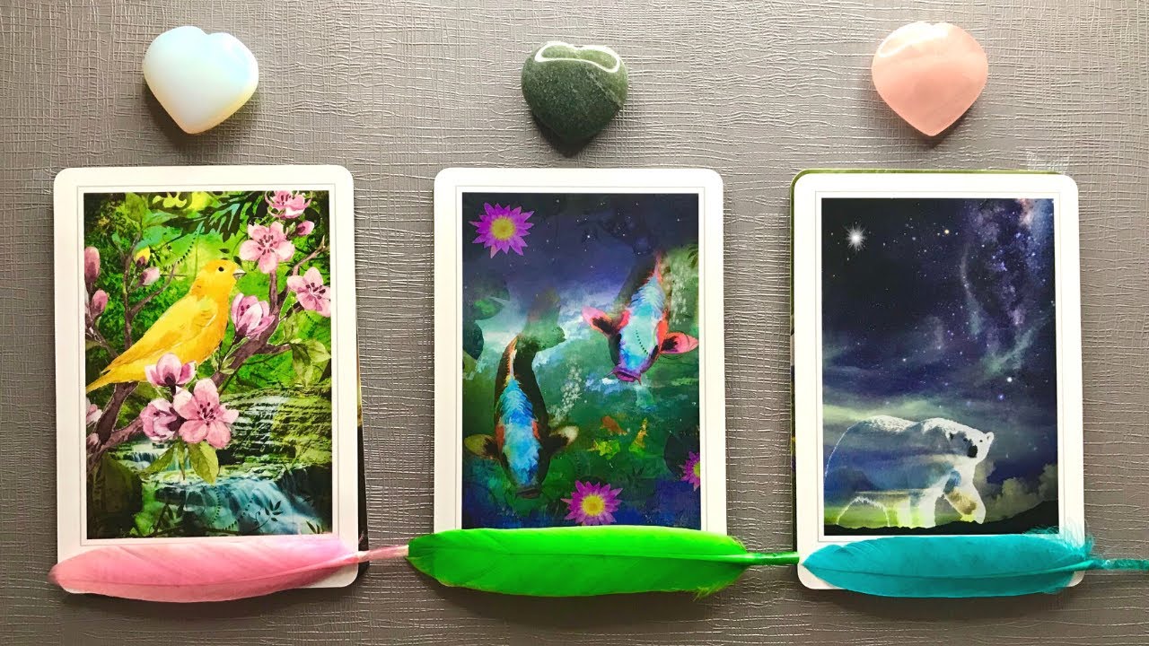 💌 Pick a Card | 💕Your Future Spouse/ Twin Flame/ Soulmate? Who Is Coming Next? When? | Detailed ☕️