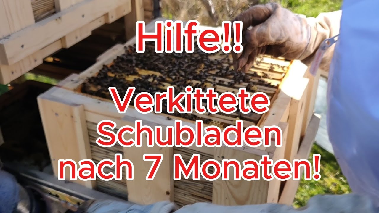Top-Durchsicht nach 7 Monaten! Verkittete Schubladen?! Genialer Easy Pull Trick hilft! Treatmentfree
