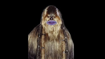 The Culling: Day 1 Reference